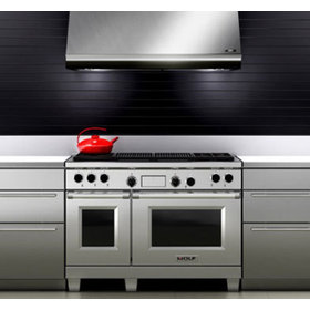 Front view rendering of the 48 inch dual fuel range