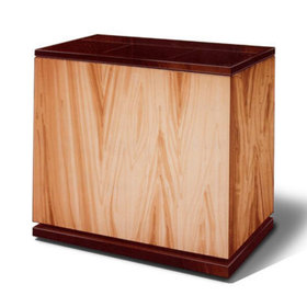 Concept rendering three quarters front view of the humidifier with a wood grain texture applied to it